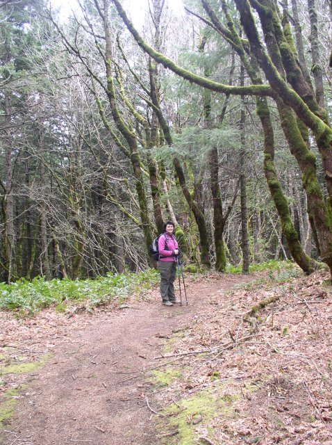 3.24.06 Dog Mountain 052 